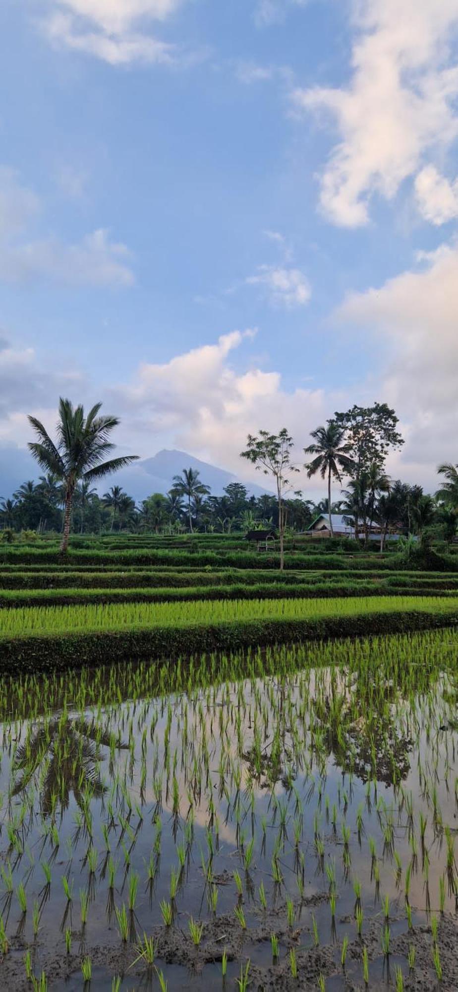 Tetebatu Indah Homestay Eksteriør billede