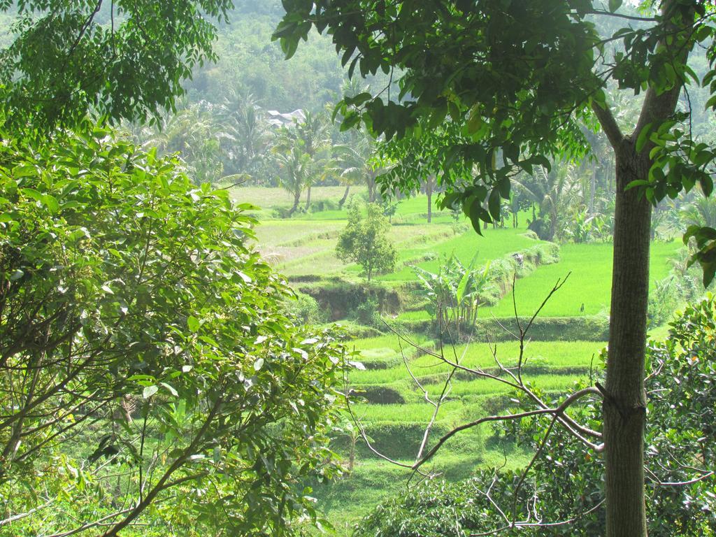 Tetebatu Indah Homestay Eksteriør billede