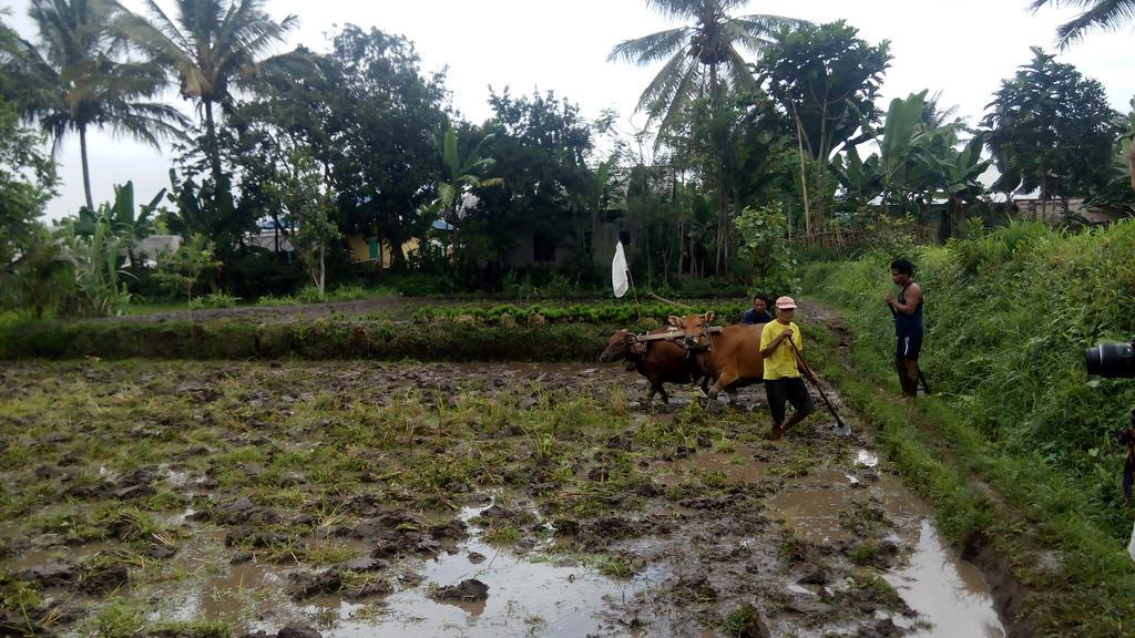 Tetebatu Indah Homestay Eksteriør billede