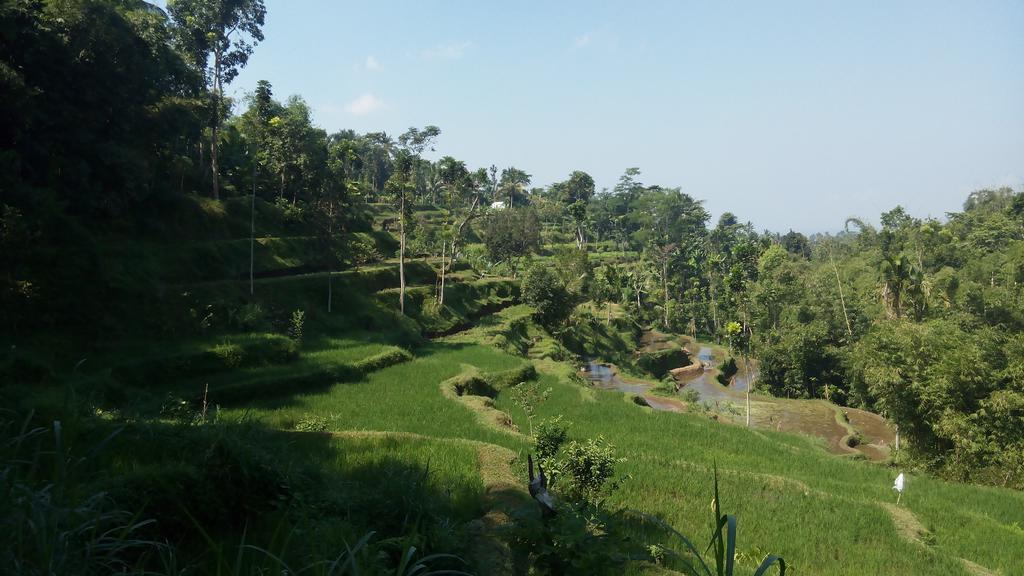 Tetebatu Indah Homestay Eksteriør billede