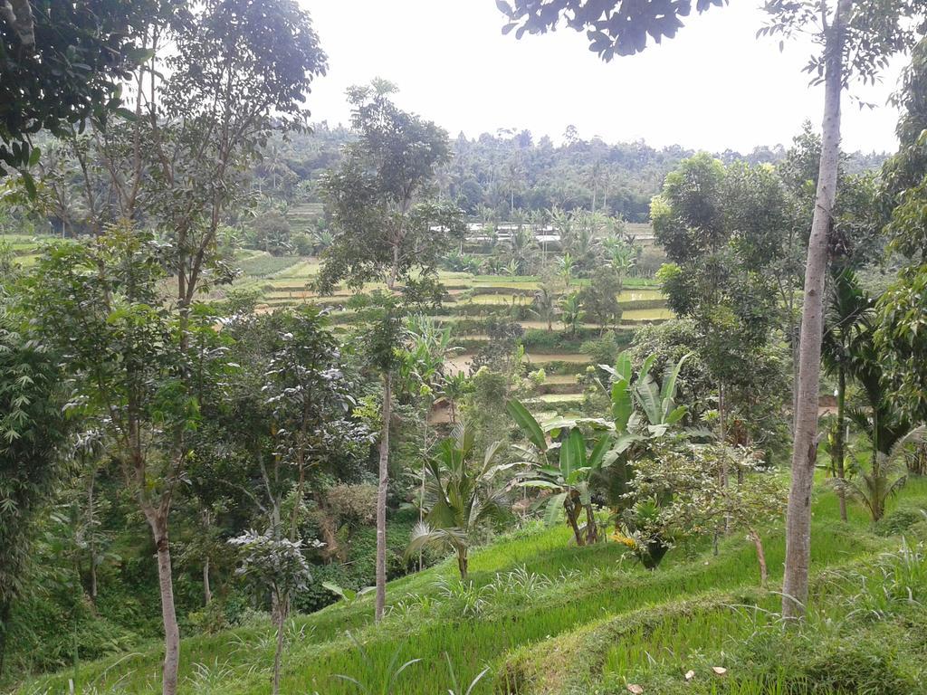 Tetebatu Indah Homestay Eksteriør billede